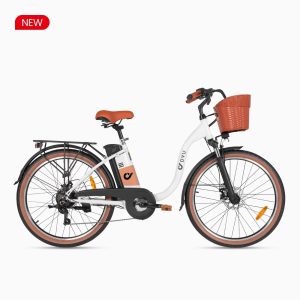 DYU C6 Pro 26-Zoll-City-E-Bike, 250 W, 80 km Reichweite