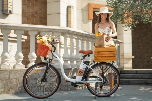 DYU C6 Pro 26in City E-Bike, 250W, 80KM Range - immagine 10