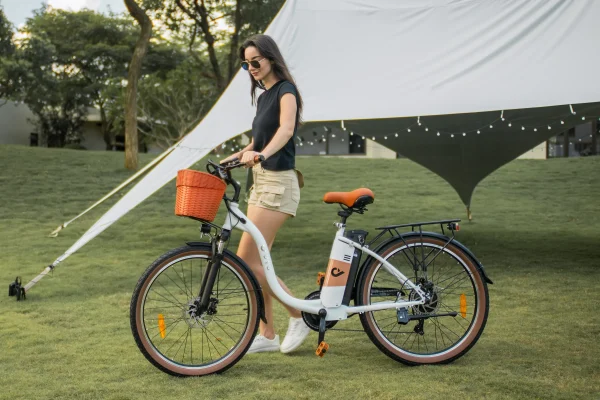 DYU C6 Pro 26in City E-Bike, 250W, 80KM Range - immagine 11