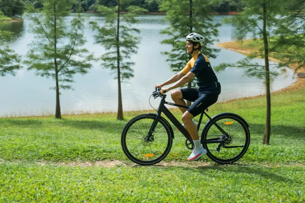 DYU Stroll 1 700C City E-Bike, 250W, 100KM Range - immagine 16