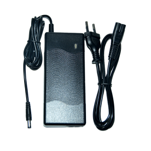 DYU Chargeur pour vélos électriques 36 V, charge rapide