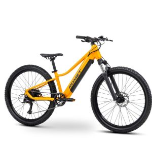 Vélo électrique pliable Overfly Zing 250 W 8,7 Ah – léger et agile pour une utilisation en ville