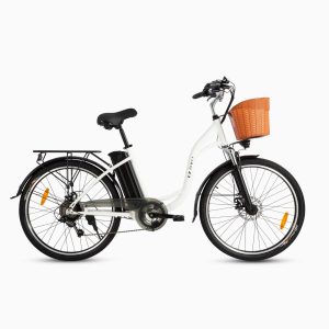 DYU C6 26-Zoll-City-E-Bike, 250 W, 60 km Reichweite