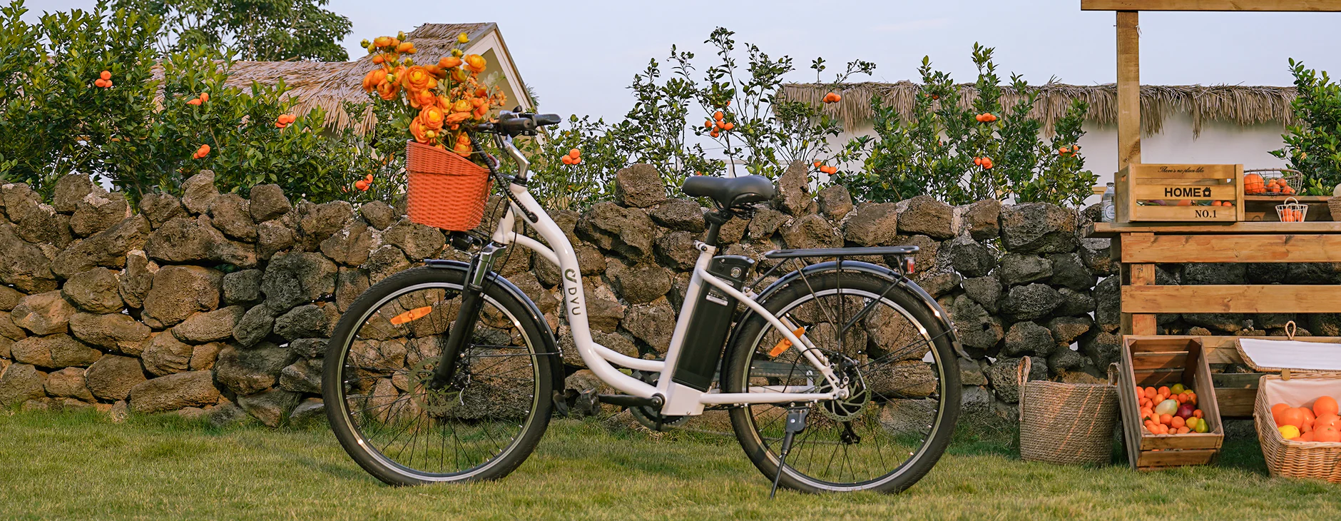 DYU C6 26-tums elcykel för stadsbruk, 250 W, räckvidd 60 km 2