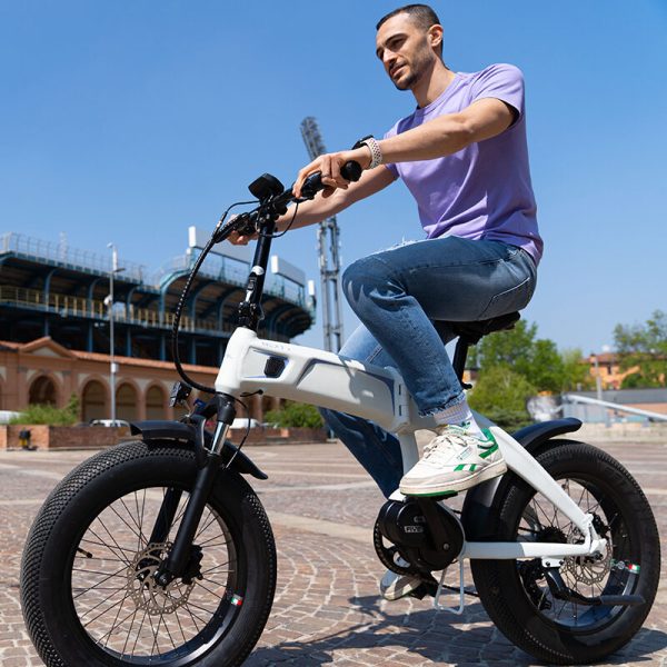 Wayel NEXT+: 20" Foldable Fat E-Bike with Dual Battery - Image 4