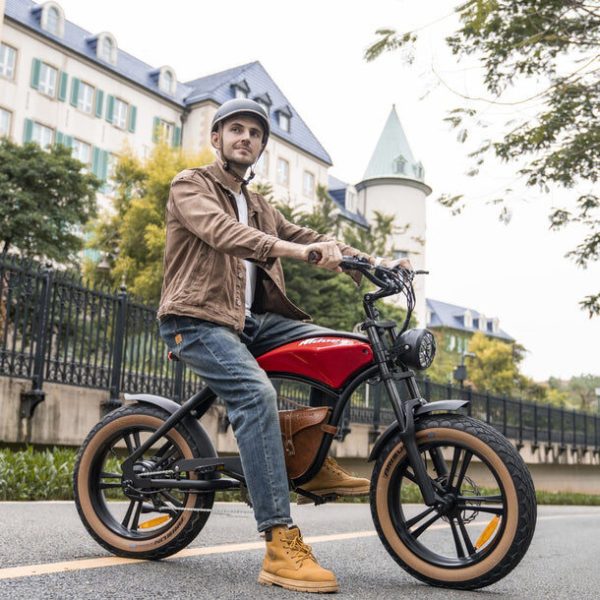 Hidoes B10 1000W Fat Tire Electric Bike – Powerful Off-Road E-Bike with 40-Mile Range - Image 2