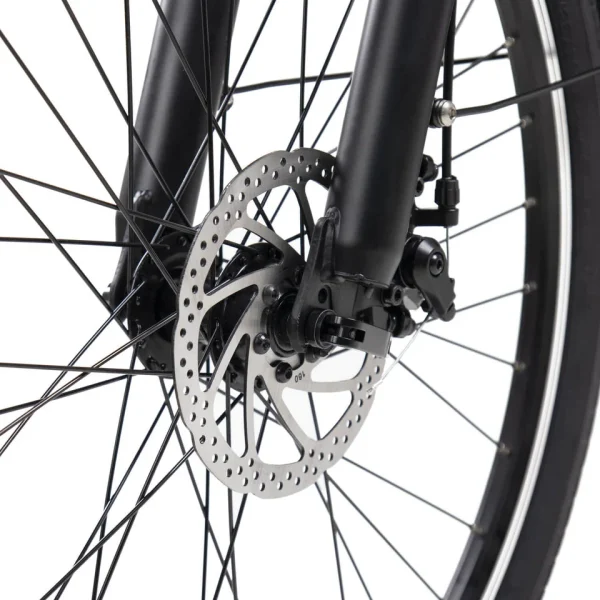 DYU C6 26in City E-Bike, 250W, 60KM Range - immagine 10