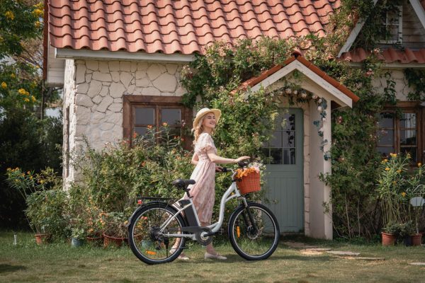DYU C6 26in City E-Bike, 250W, 60KM Range - immagine 2