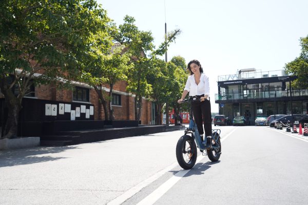 DYU FF500 20in Fat Tire E-Bike, 500W, 50-Mile Range - Image 10