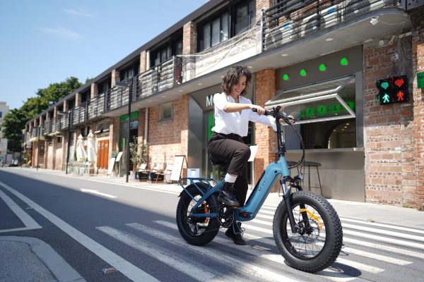 DYU FF500 20in Fat Tire E-Bike, 500W, 50-Mile Range - Image 11