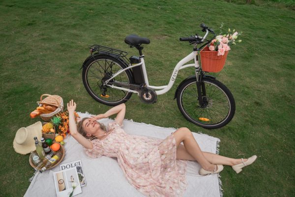 DYU C6 26in City E-Bike, 250W, 60KM Range - immagine 11