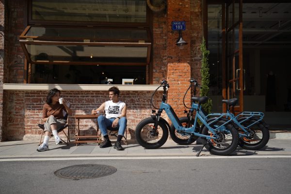 DYU FF500 20in Fat Tire E-Bike, 500W, 50-Mile Range - Image 13