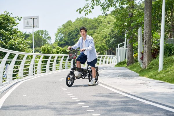 DYU A1F Pro 16in Folding E-Bike, 250W, Easy Storage - immagine 11