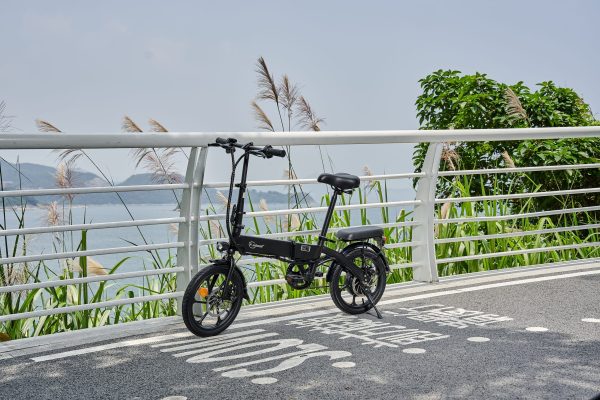 DYU A1F Pro 16in Folding E-Bike, 250W, Easy Storage - immagine 13