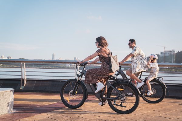 DYU C1 26in City E-Bike, 500W, 65KM Range - Image 11