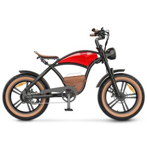 Hidoes B10 Vélo électrique à gros pneus 1000W - Vélo électrique tout-terrain puissant avec une autonomie de 40 milles