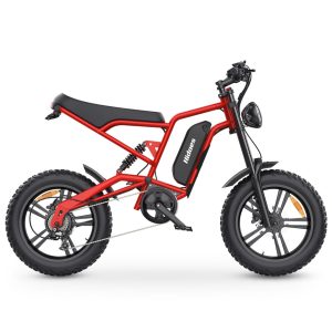 Hidoes B6 1200W Fat Tire Vélo électrique - Puissant vélo électrique tout-terrain avec Shimano 7 vitesses et gros pneus