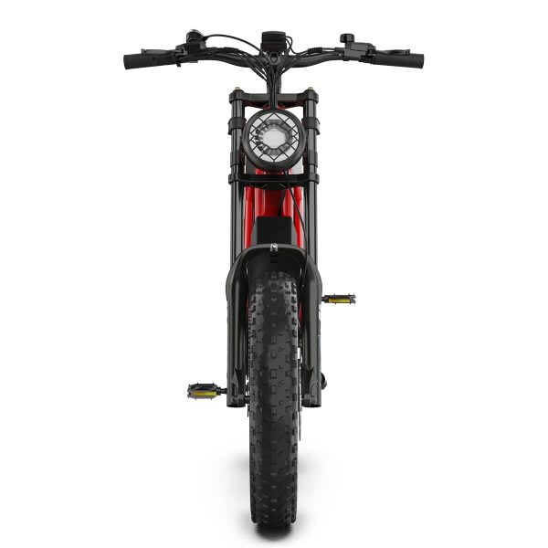 Hidoes B6 1200W Fat Tire Electric Bike – Powerful Off-Road E-Bike with Shimano 7-Speed & Fat Tires - Image 7