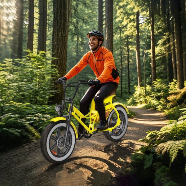 Hidoes C8 700W Fat Tire Electric Bike – Powerful 50-Mile Range Urban Commuter - Image 3