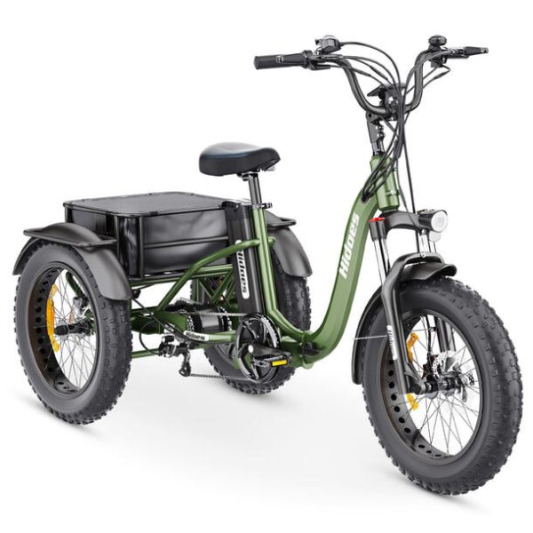 Hidoes ET1 750W Electric Tricycle – Powerful Fat Tire E-Trike with Long-Lasting 20Ah Battery - Image 12