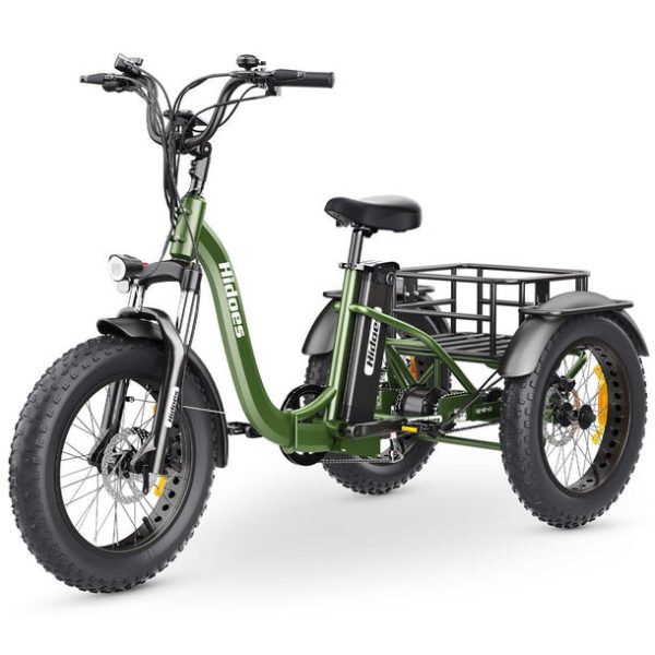 Hidoes ET1 750W Electric Tricycle – Powerful Fat Tire E-Trike with Long-Lasting 20Ah Battery - Image 4