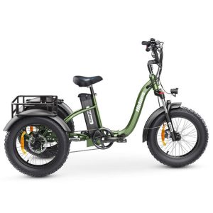 Hidoes ET1 Tricycle électrique 750 W – Tricycle électrique puissant à gros pneus avec batterie longue durée de 20 Ah