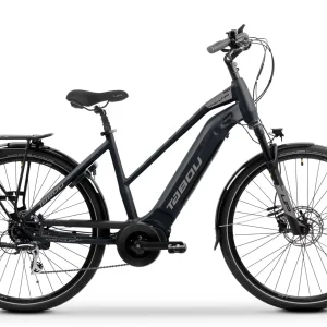 Overfly Mage Plus – vélo électrique de ville 250 W 70 Nm avec une autonomie jusqu'à 70 km