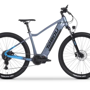 FIIDO T2 (20'') Fatbike Vélo électrique cargo gris – 998 Wh, capacité de charge de 200 kg, moteur de 250 W