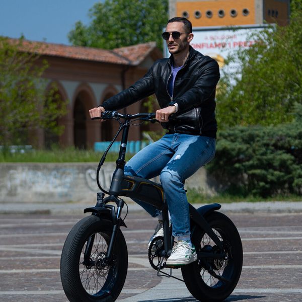 Wayel NEXT: Foldable Urban E-Bike with Fat Tires for All Terrains - Image 2