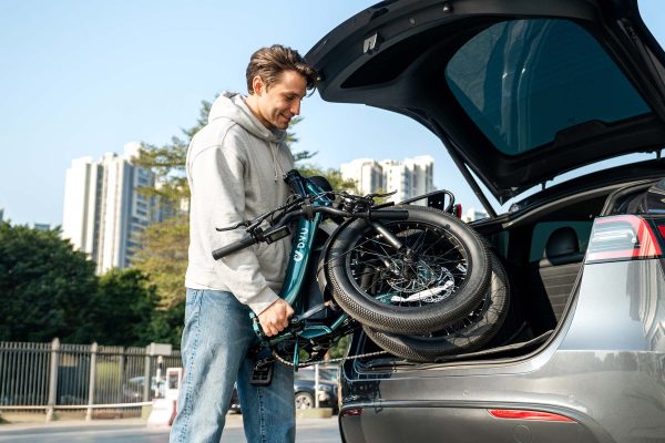 DYU C9 Foldable 20" Long-Range E-Bike