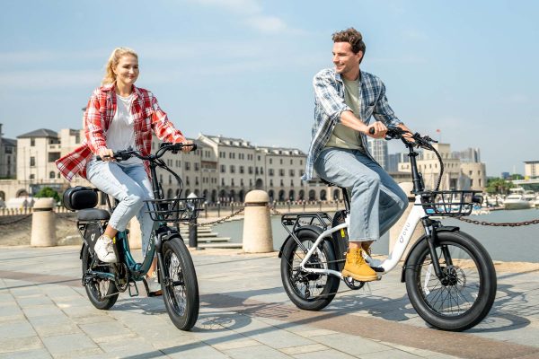 DYU C9 Foldable 20" Long-Range E-Bike