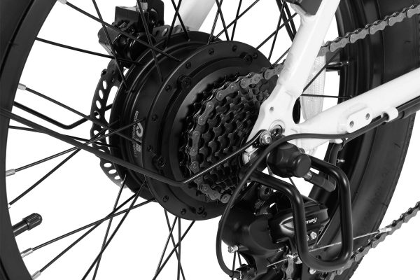 DYU C9 Foldable 20" Long-Range E-Bike