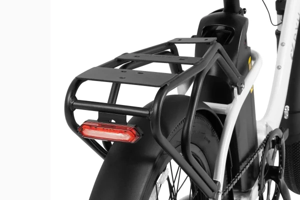 DYU C9 Foldable 20" Long-Range E-Bike