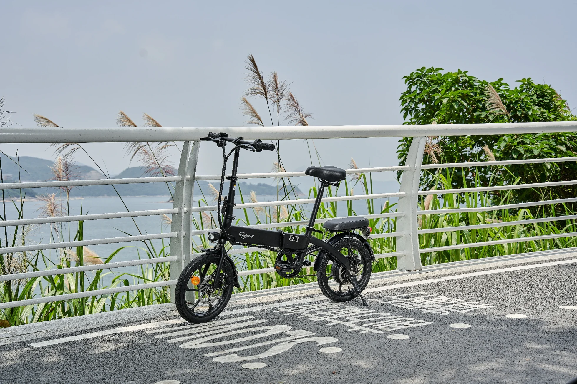 DYU A1F Pro parked by a seaside railing during a disc brake inspection