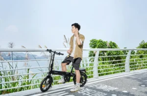 DYU A1F Pro standing on a seaside coastal road