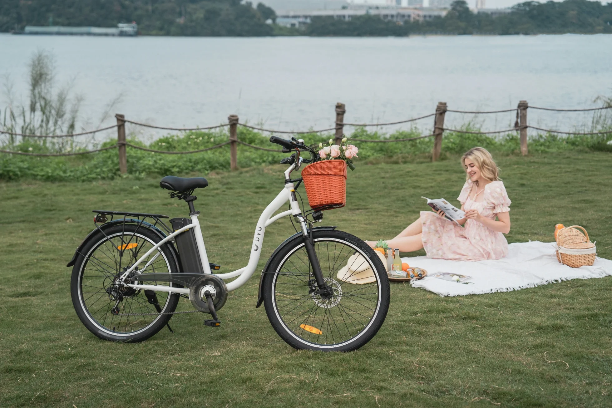 DYU C6 city e-bike parked for a waterside picnic