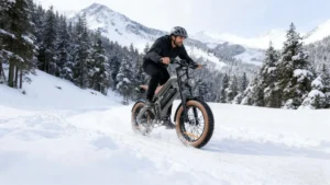 DYU M20 fat tire e-bike riding in a cold mountain scene