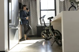 DYU T1 stored indoors before setting pedal assist for a city ride cover