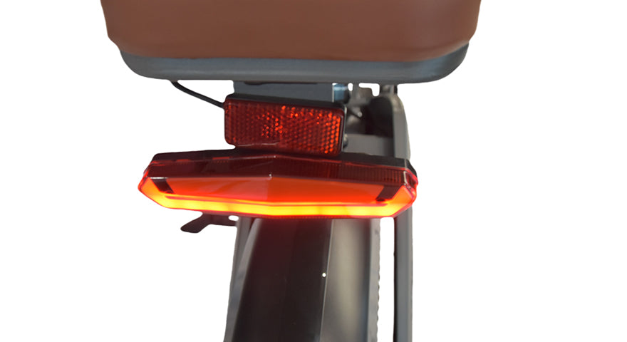 Luz trasera y soporte trasero DYU M20