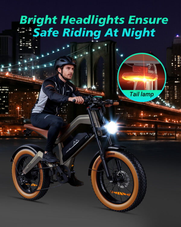 DYU M20 electric bike product image 43724166299872 DYU M20 2