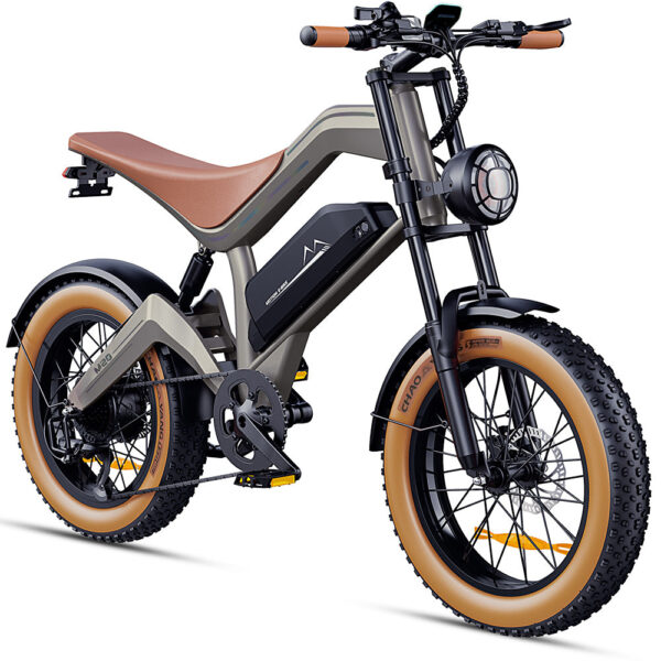 DYU M20 electric bike product image 43724166267104 DYU M20 5