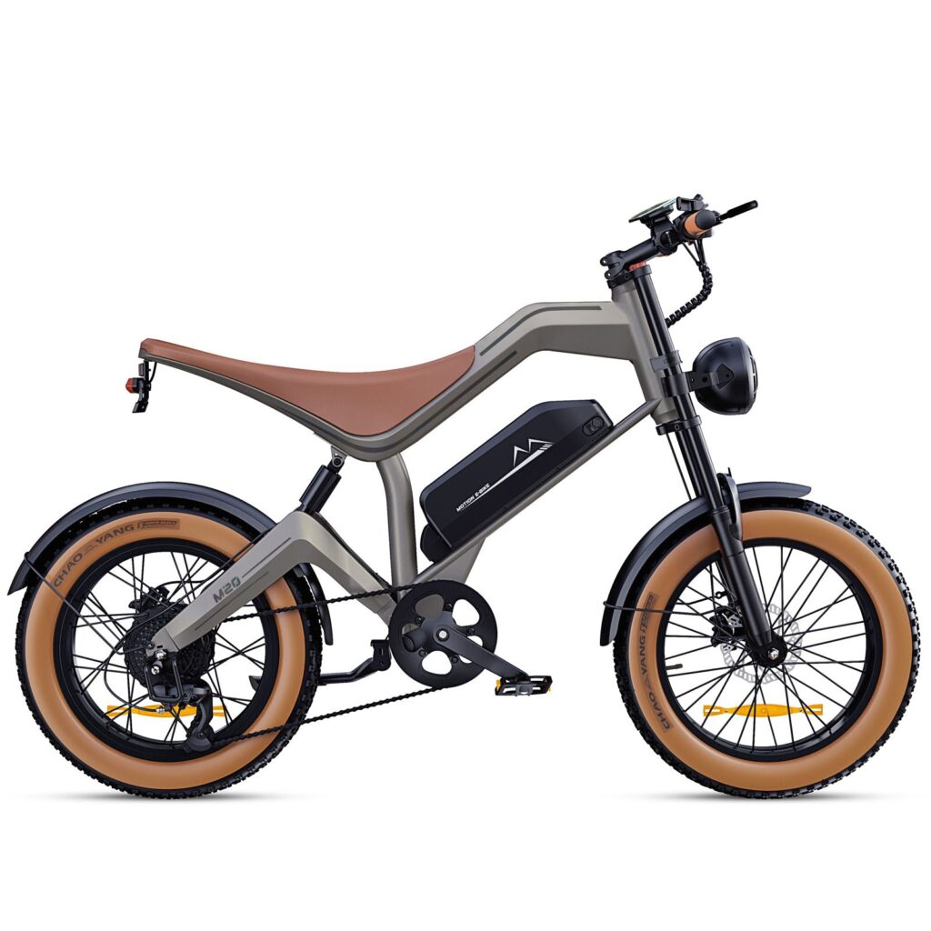 DYU M20 electric bike product image 43724166201568 DYU M20 3