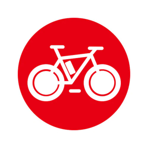 Bicicleta eléctrica DYU C2
