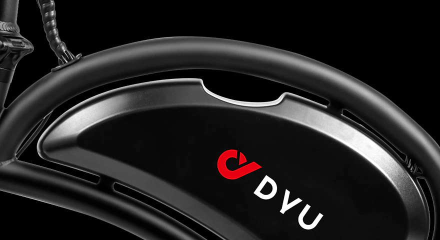 Bateria de lítio DYU D3F 36V 10Ah