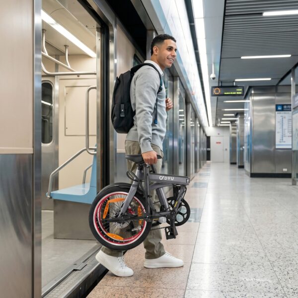 DYU SP1 20" removable power bank folding ebike