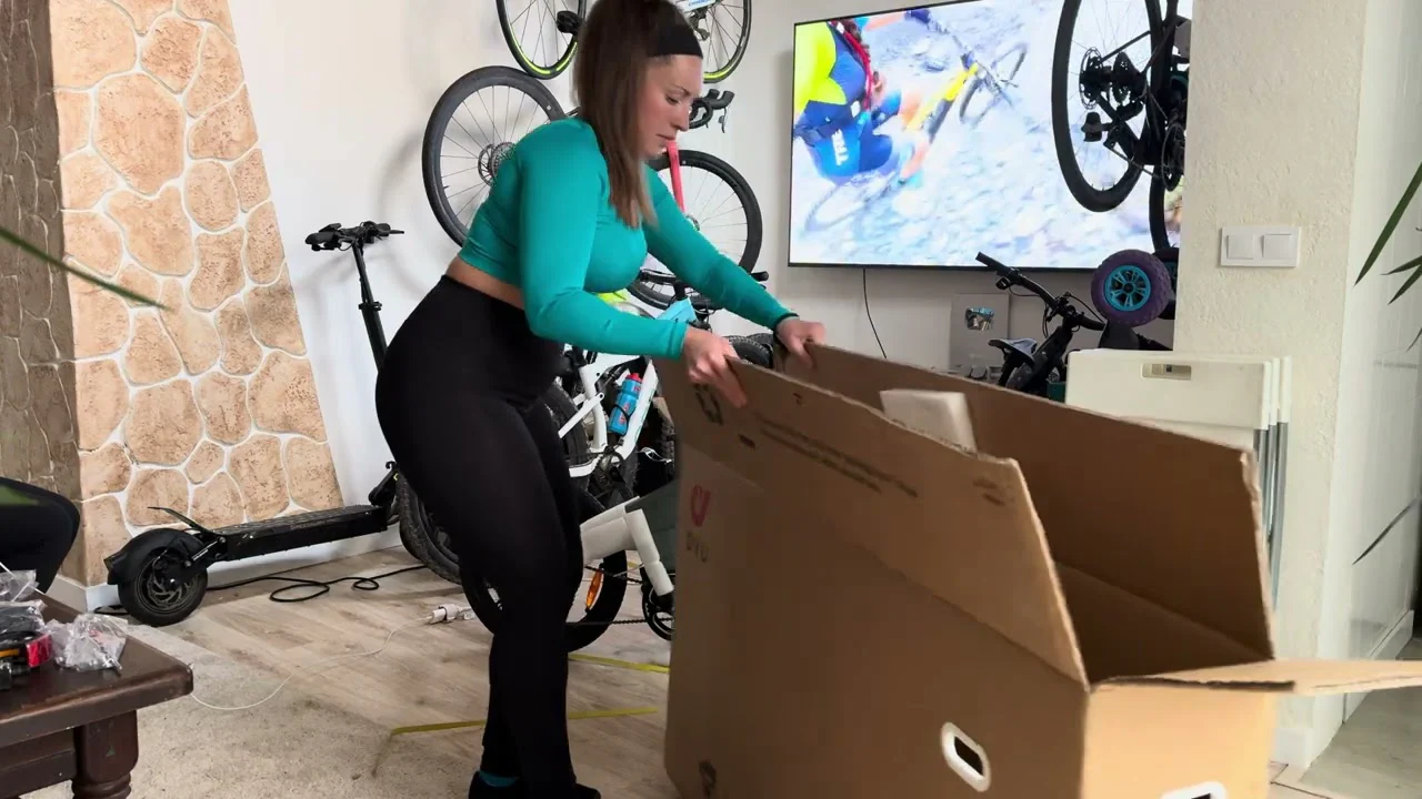 Bicicleta elétrica dobrável DYU T1 20 ″, 250 W, leve 5